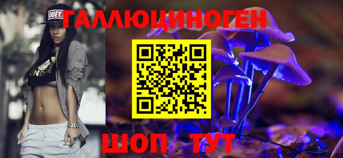 Галлюциногенные грибы Psilocybe  Вход с VPN  Вятские Поляны 